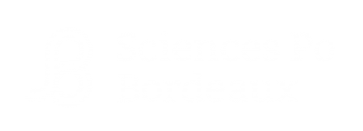 Identité numérique Science Po Bordeaux